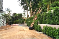 Construction of The Riviera Wongamat