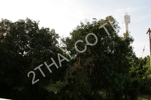 Jomtien Condotel&Village, พัทยา, จอมเทียน - photo, price, location map