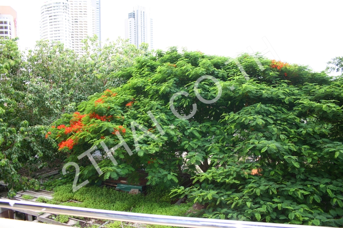View Talay Residence 6, พัทยา, พัทยาเหนือ - photo, price, location map
