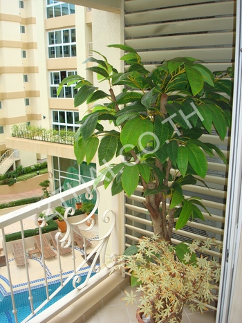 City Garden Pattaya, พัทยา, พัทยากลาง - photo, price, location map