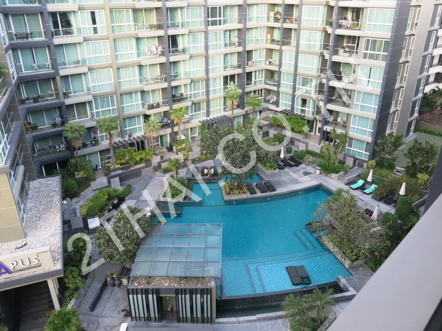 Apus Condominium, พัทยา, พัทยากลาง - photo, price, location map