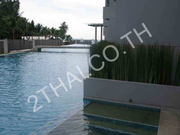 Ananya Beachfront Wongamat, พัทยา, พัทยาเหนือ - photo, price, location map