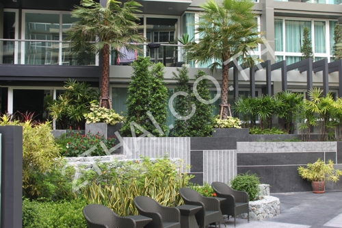 Apus Condominium, พัทยา, พัทยากลาง - photo, price, location map