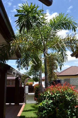 Pattaya Tropical Village, พัทยา, พัทยาตะวันออก - photo, price, location map