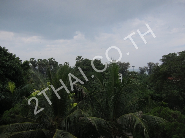 Jomtien Condotel&Village, พัทยา, จอมเทียน - photo, price, location map