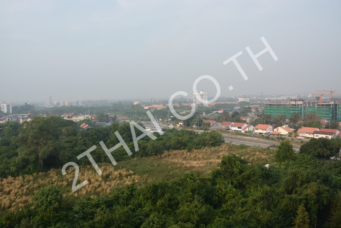 Jomtien Beach Paradise, พัทยา, จอมเทียน - photo, price, location map