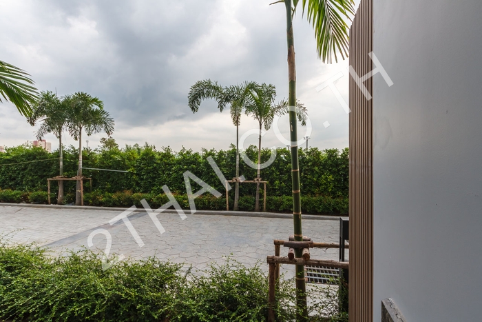 Dusit Grand Park Pattaya, พัทยา, จอมเทียน - photo, price, location map