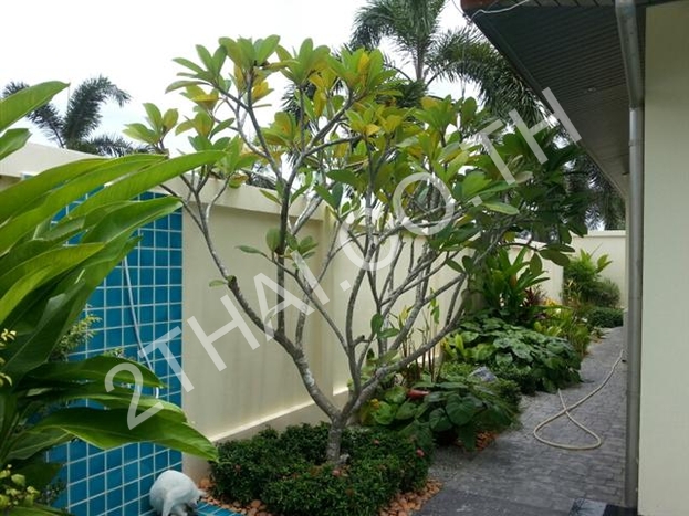 Whispering Palms, พัทยา, พัทยาตะวันออก - photo, price, location map