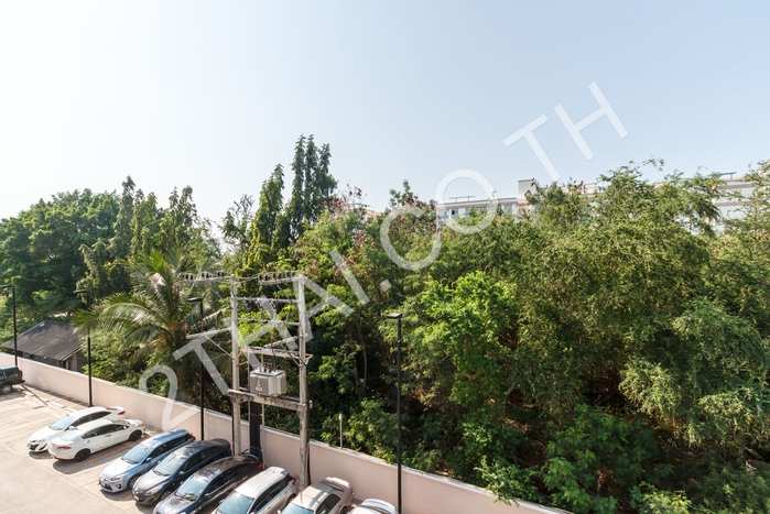 Paradise Park, พัทยา, จอมเทียน - photo, price, location map