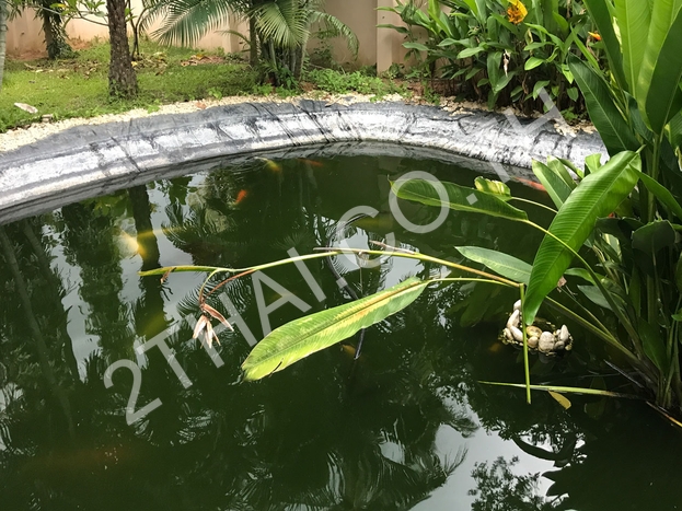Single houses in East Pattaya, พัทยา, พัทยาตะวันออก - photo, price, location map