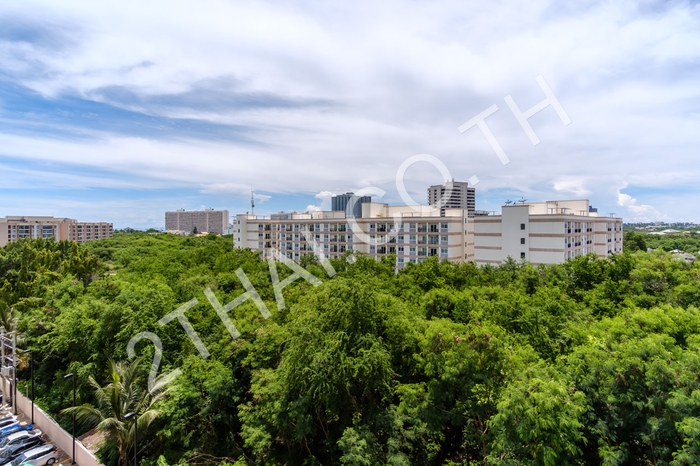 Paradise Park, พัทยา, จอมเทียน - photo, price, location map