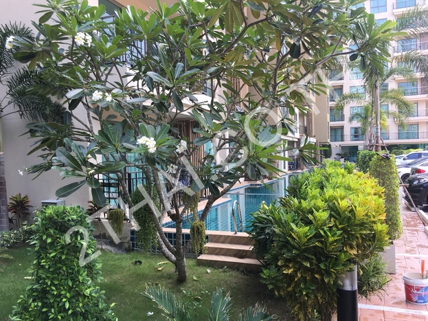 City Garden Tropicana, พัทยา, พัทยาเหนือ - photo, price, location map