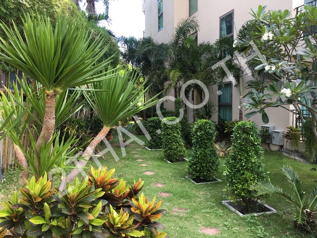 City Garden Tropicana, พัทยา, พัทยาเหนือ - photo, price, location map
