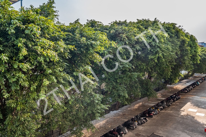 View Talay 1, พัทยา, จอมเทียน - photo, price, location map