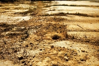Savanna Sands Condo - pre-construction photos