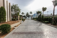 Cetus Beachfront Pattaya - project's new photos