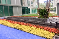 City Center Residence - photos of construction