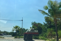 Grand Florida Condo Resort piling