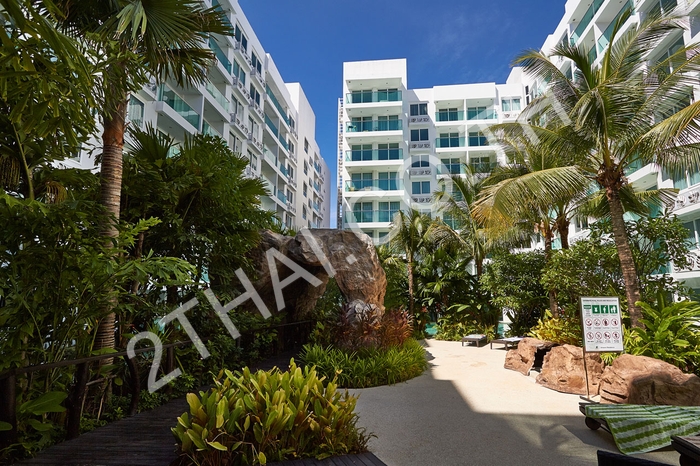 Amazon Residence, พัทยา, จอมเทียน - photo, price, location map