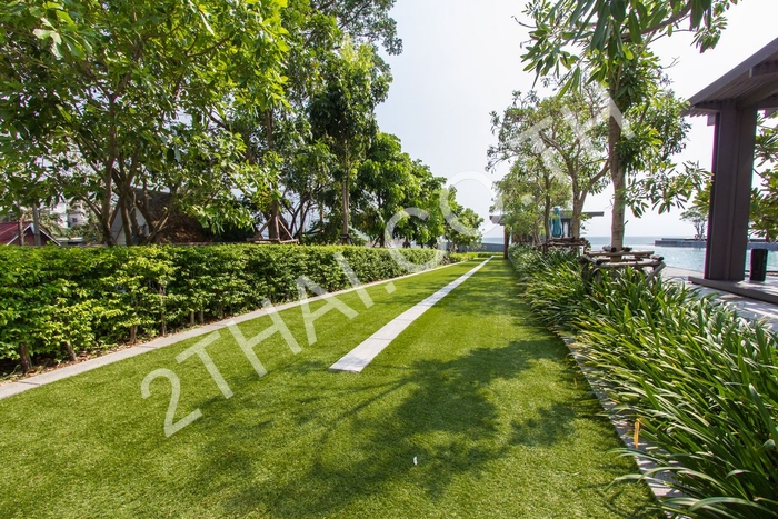 Reflection Jomtien , พัทยา, นาจอมเทียน - photo, price, location map