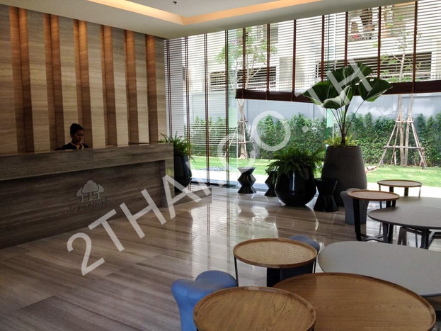 Zire Wongamat, พัทยา, พัทยาเหนือ - photo, price, location map