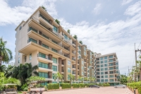 City Garden Tropicana