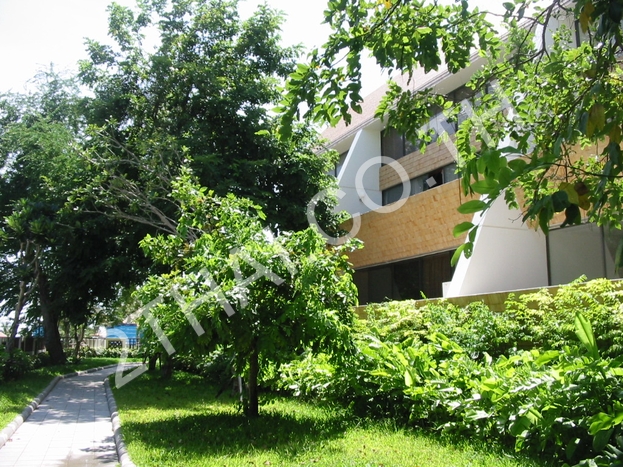 Panchalae Boutique Residence, พัทยา, จอมเทียน - photo, price, location map
