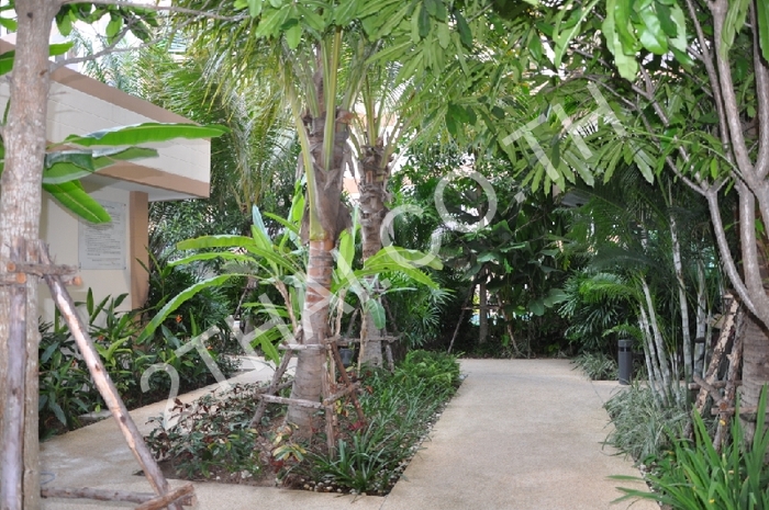 Park Lane Jomtien Resort, พัทยา, จอมเทียน - photo, price, location map