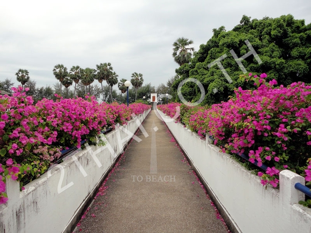 Jomtien Condotel&Village, พัทยา, จอมเทียน - photo, price, location map
