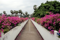 Jomtien Condotel&Village