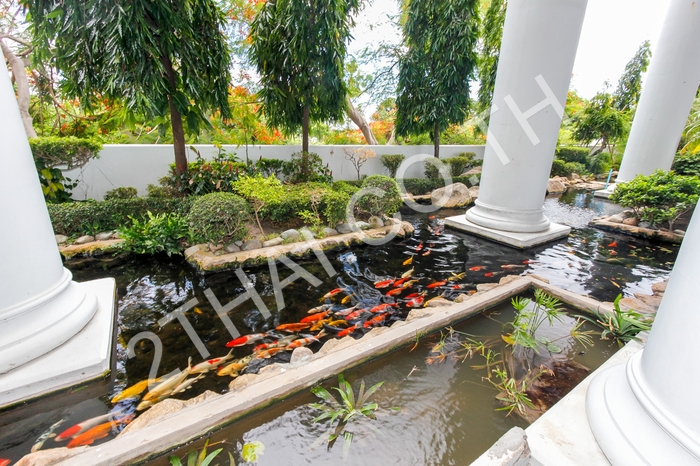 Silver Beach Condo, พัทยา, พัทยาเหนือ - photo, price, location map