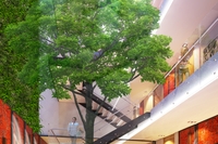 Skylight Condominium