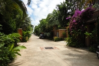 Baan Dharawadi 