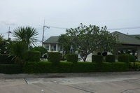 Green Field Villas 3