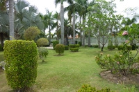 Green Field Villas 3