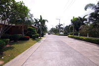 Green Field Villas 2