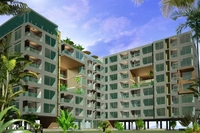 The Cube Pattaya