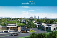 Amaya Hill