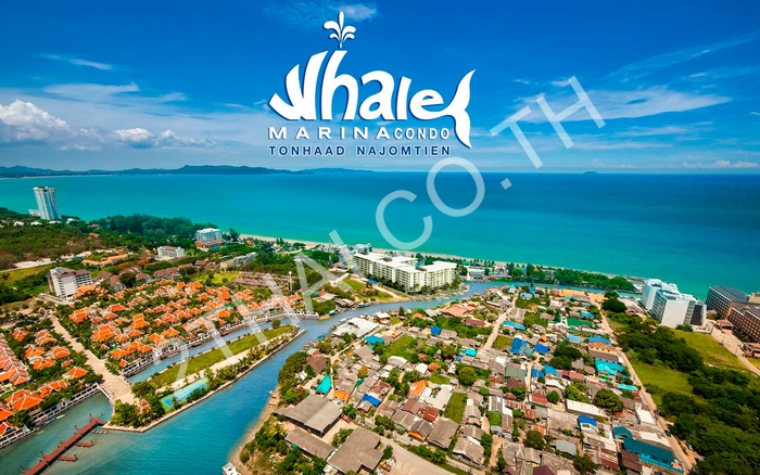 Whale Marina Condo Pattaya, พัทยา, นาจอมเทียน - photo, price, location map