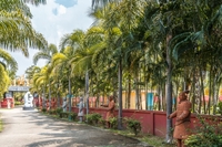 The Sculpture Park