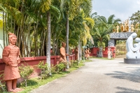 The Sculpture Park